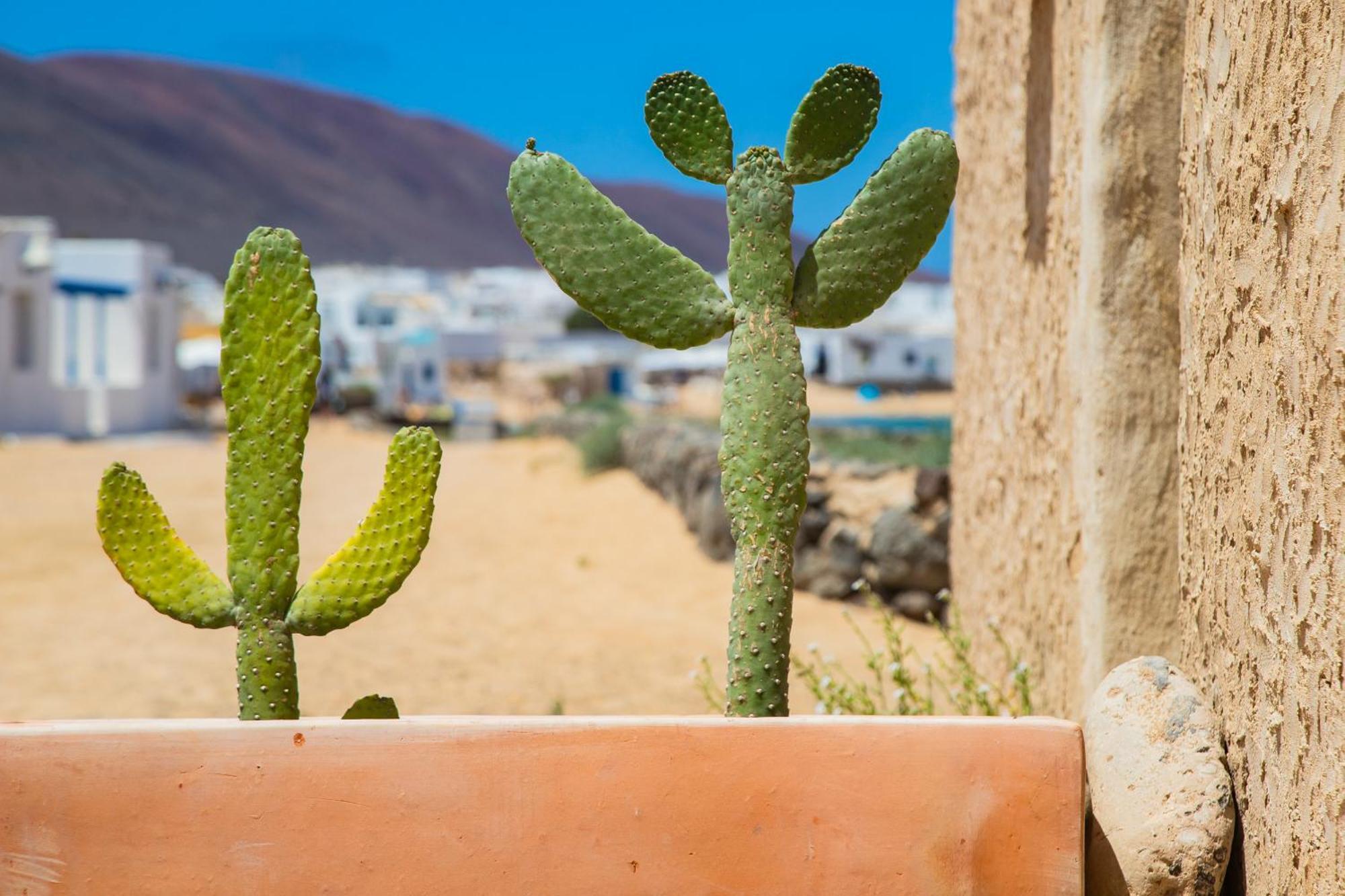Eslanzarote La Duna House, Wifi, Sea Views Caleta de Sebo Exteriér fotografie